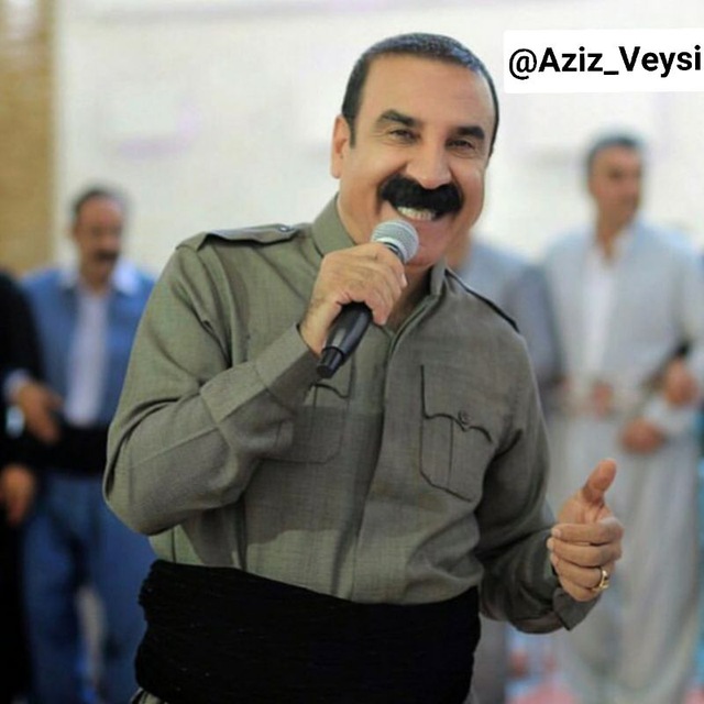 عزیز ویسی باباجانی